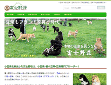 Tablet Screenshot of mame-shiba-inu.com